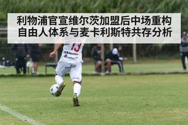 利物浦官宣维尔茨加盟后中场重构 自由人体系与麦卡利斯特共存分析